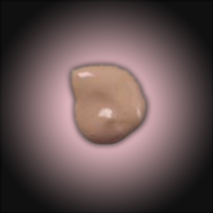 VELVET TOUCH LIQUID COVERING CREMES - Cafe Au Lait