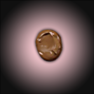 MATTE FINISH COVERING CREMES -Egyptian Bronze